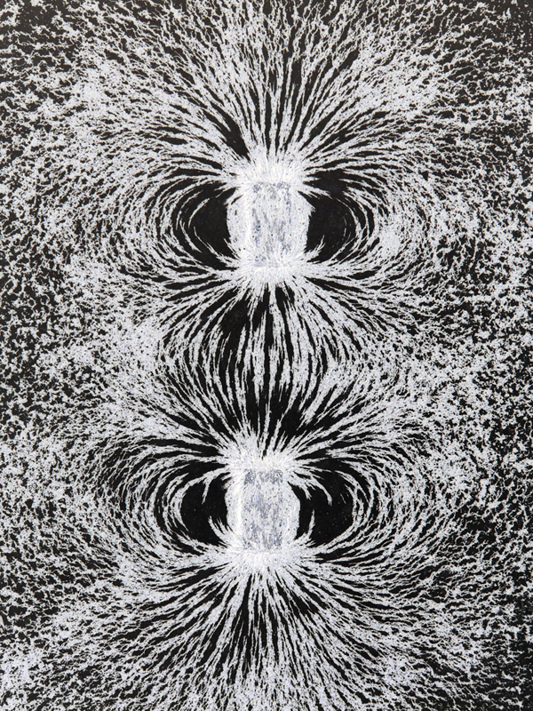 Magnetic field illustration using iron filings